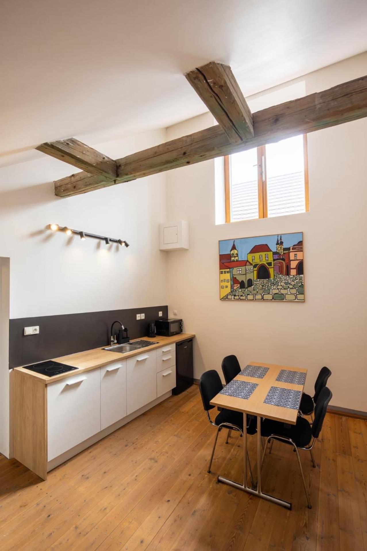 Zamecky Hostel 利托米什尔 外观 照片